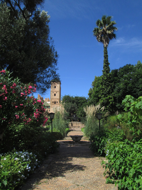 inside the Andalusian Gardens in Rabat Morocco