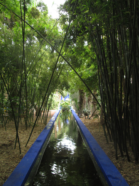 Jardin Majorelle in Marrakesh Morocco