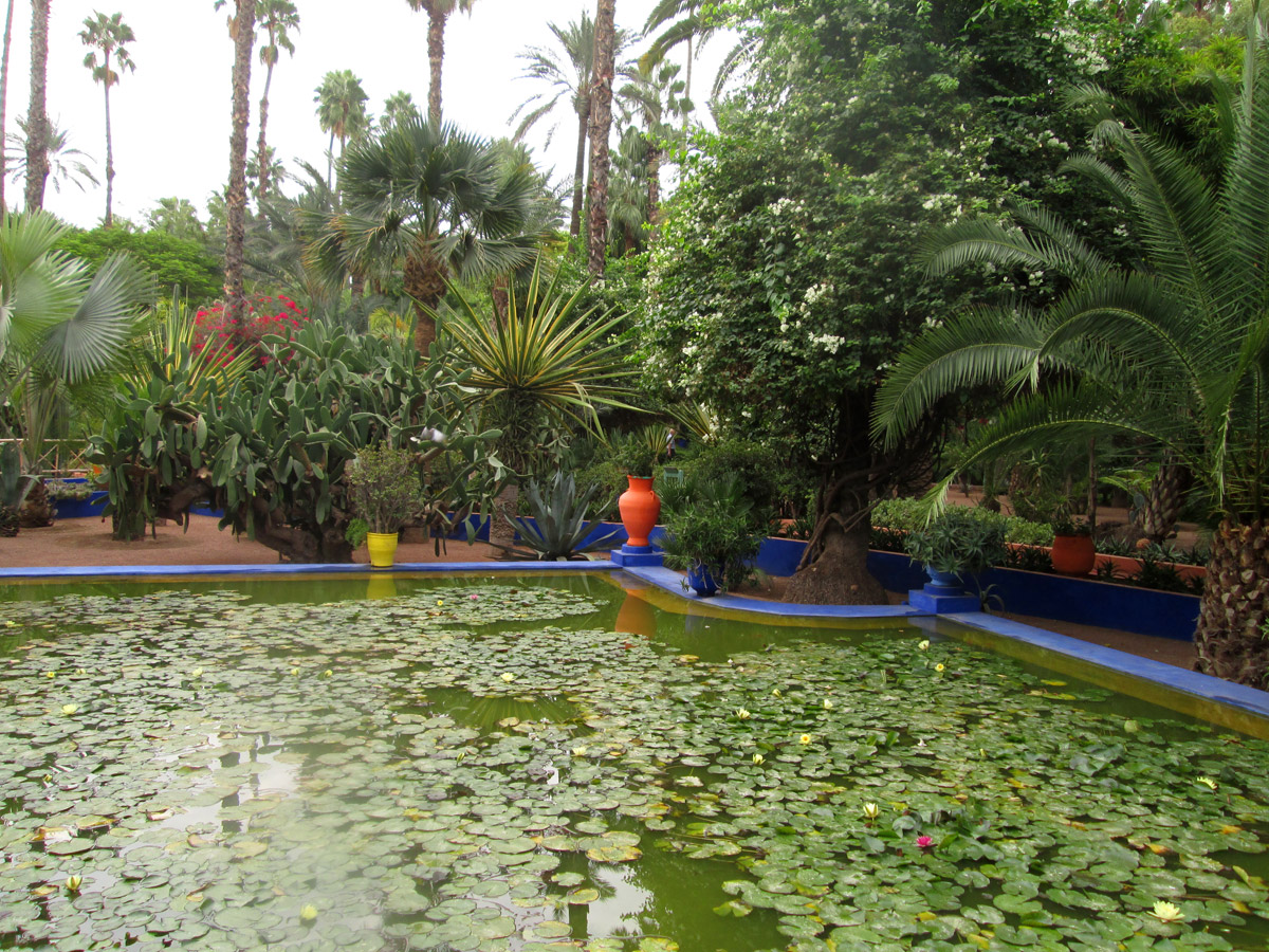 Jardin Majorelle in Marrakesh Morocco