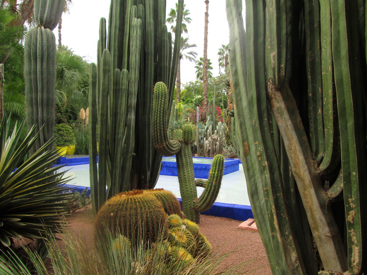 Jardin Majorelle in Marrakesh Morocco