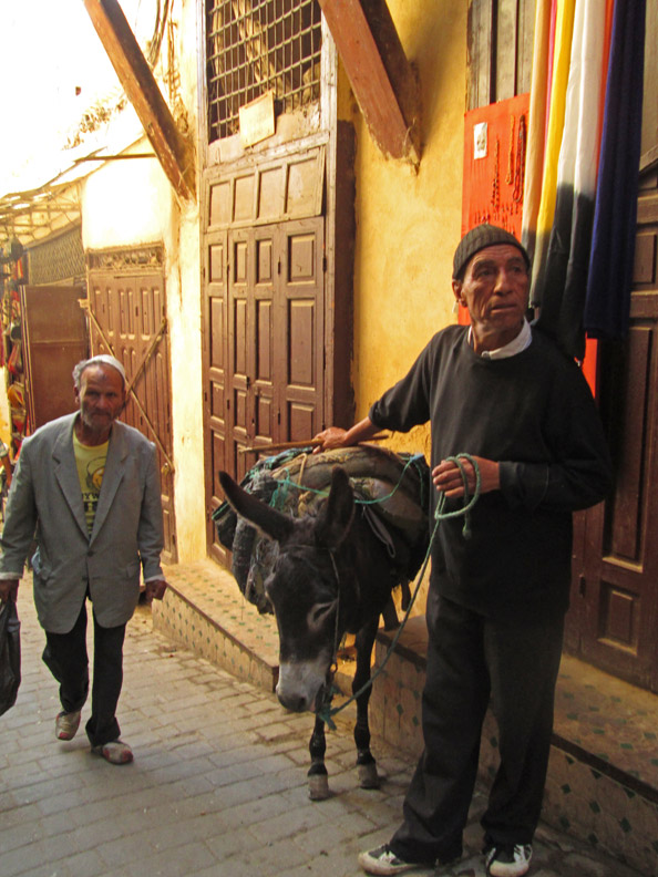 A man with his mule in the medina of Fes Morocco